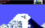 Ski Or Die3.png