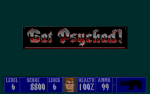 Wolfenstein 3D - 15.png