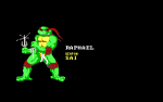 Teenage Mutant Hero Turtles - 3.png