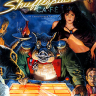 Shufflepuck Cafe